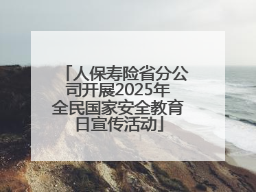 人保寿险省分公司开展2025年全民国家安全教育日宣传活动