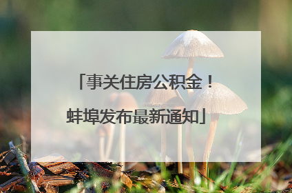 事关住房公积金！蚌埠发布最新通知