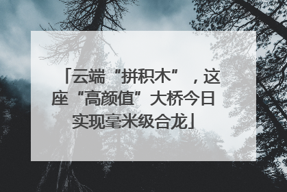 云端“拼积木”，这座“高颜值”大桥今日实现毫米级合龙