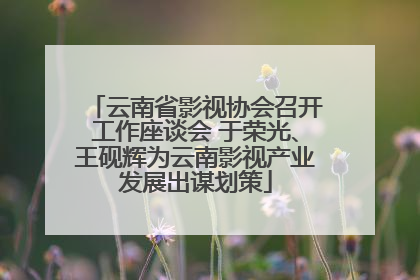 云南省影视协会召开工作座谈会 于荣光、王砚辉为云南影视产业发展出谋划策