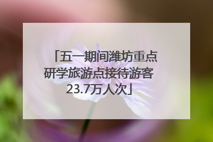 五一期间潍坊重点研学旅游点接待游客23.7万人次