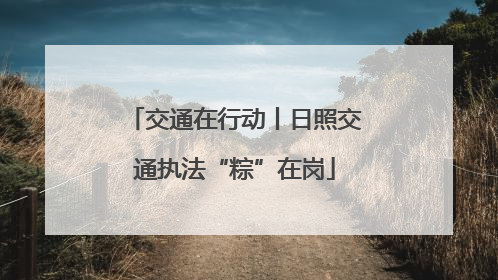 交通在行动丨日照交通执法“粽”在岗