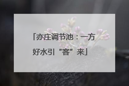 亦庄调节池：一方好水引“客”来