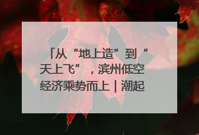 从“地上造”到“天上飞”，滨州低空经济乘势而上｜潮起渤海・网聚黄蓝