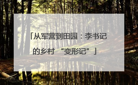 从军营到田园：李书记的乡村 “变形记”