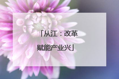 从江：改革赋能产业兴