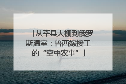 从莘县大棚到俄罗斯温室：鲁西嫁接工的“空中农事”