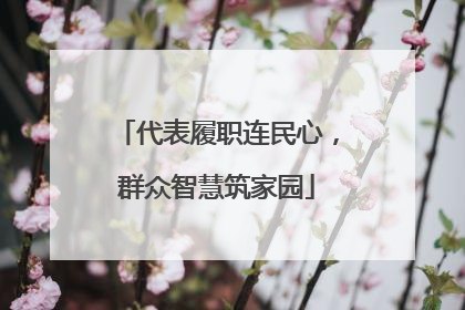 代表履职连民心，群众智慧筑家园