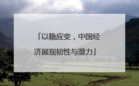 以稳应变，中国经济展现韧性与潜力