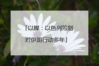 以媒：以色列筹划对伊朗行动多年