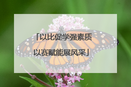 以比促学强素质 以赛赋能展风采
