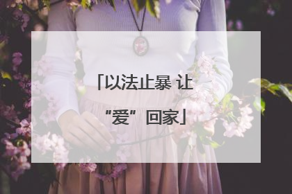 以法止暴 让“爱”回家