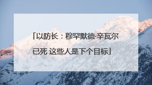 以防长：穆罕默德·辛瓦尔已死 这些人是下个目标