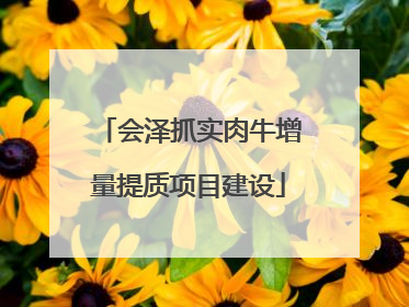会泽抓实肉牛增量提质项目建设
