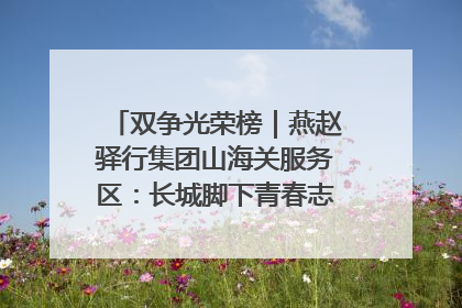 双争光荣榜｜燕赵驿行集团山海关服务区：长城脚下青春志 关城服务展担当