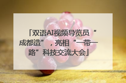 双语AI视频导览员“成都造”，亮相“一带一路”科技交流大会