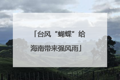 台风“蝴蝶”给海南带来强风雨