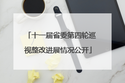 十一届省委第四轮巡视整改进展情况公开
