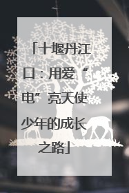 十堰丹江口：用爱“电”亮天使少年的成长之路