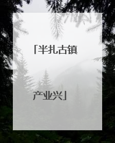 半扎古镇产业兴