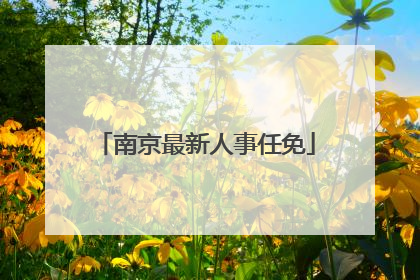 南京最新人事任免