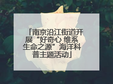 南京沿江街道开展“好奇心 维系生命之源”海洋科普主题活动