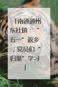 南通通州东社镇：“五一”返乡，党员们“归巢”学习