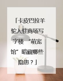 卡皮巴拉羊驼入驻商场写字楼 “萌宠馆”暗藏哪些隐患？