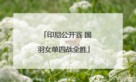 印尼公开赛 国羽女单四战全胜