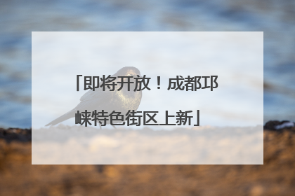 即将开放！成都邛崃特色街区上新