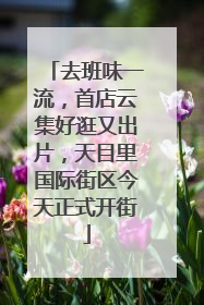 去班味一流，首店云集好逛又出片，天目里国际街区今天正式开街
