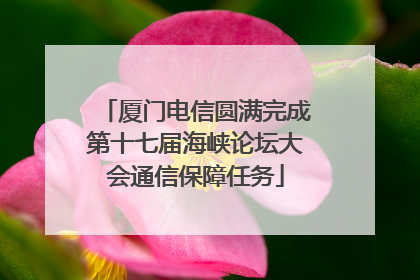 厦门电信圆满完成第十七届海峡论坛大会通信保障任务