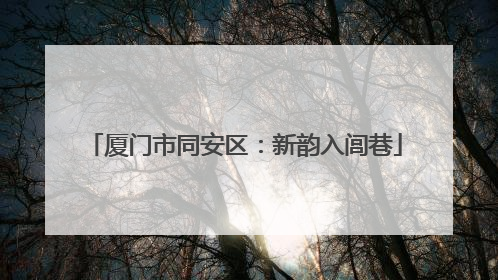 厦门市同安区：新韵入闾巷