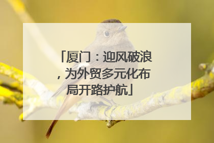 厦门：迎风破浪，为外贸多元化布局开路护航