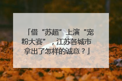 借“苏超”上演“宠粉大赛”，江苏各城市拿出了怎样的诚意？