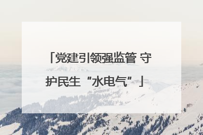 党建引领强监管 守护民生“水电气”