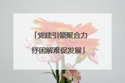 党建引领聚合力 纾困解难促发展