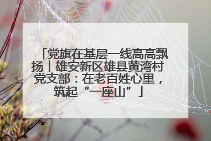 党旗在基层一线高高飘扬丨雄安新区雄县黄湾村党支部：在老百姓心里，筑起“一座山”