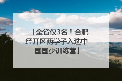 全省仅3名！合肥经开区两学子入选中国国少训练营