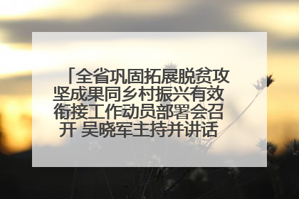 全省巩固拓展脱贫攻坚成果同乡村振兴有效衔接工作动员部署会召开 吴晓军主持并讲话 罗东川作安排部署