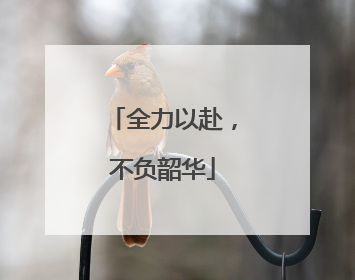 全力以赴，不负韶华