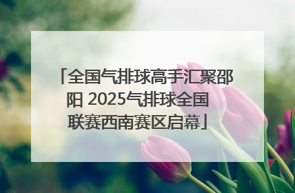 全国气排球高手汇聚邵阳 2025气排球全国联赛西南赛区启幕