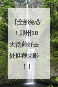 全部免费！郑州10大赏荷好去处推荐来啦！