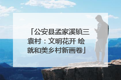 公安县孟家溪镇三袁村：文明花开 绘就和美乡村新画卷