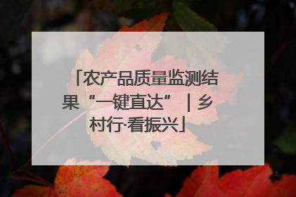 农产品质量监测结果“一键直达”｜乡村行·看振兴