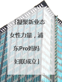 凝聚新业态女性力量，浦东Pro妈妈妇联成立