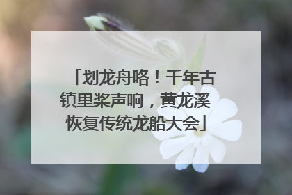 划龙舟咯！千年古镇里桨声响，黄龙溪恢复传统龙船大会