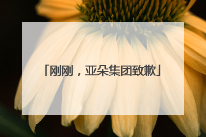 刚刚，亚朵集团致歉