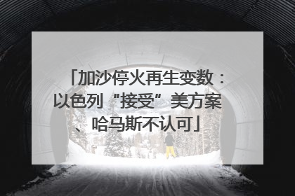 加沙停火再生变数：以色列“接受”美方案、哈马斯不认可