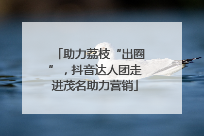 助力荔枝“出圈”，抖音达人团走进茂名助力营销